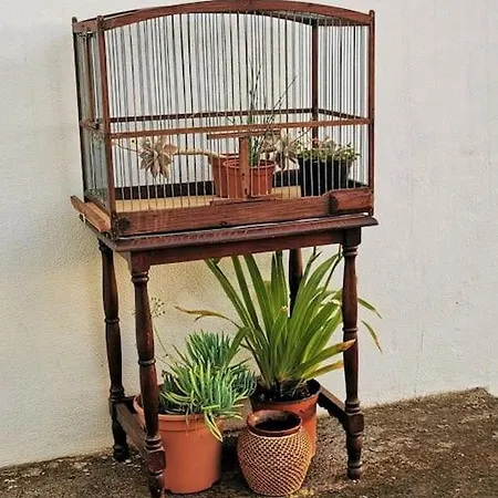 Casa Entre Viñedos Сasa de vacaciones