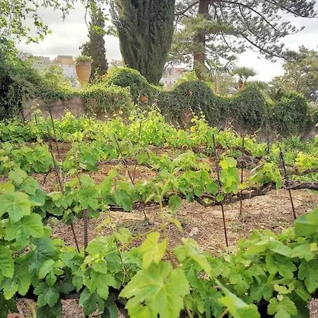 Casa Entre Viñedos Сasa de vacaciones *