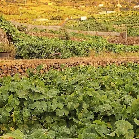 Сasa de vacaciones Casa Entre Viñedos Santa Cruz de Tenerife