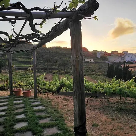 Casa Entre Viñedos * Santa Cruz de Tenerife