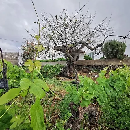 Casa Entre Vinedos 度假居 圣克鲁斯-德特内里费